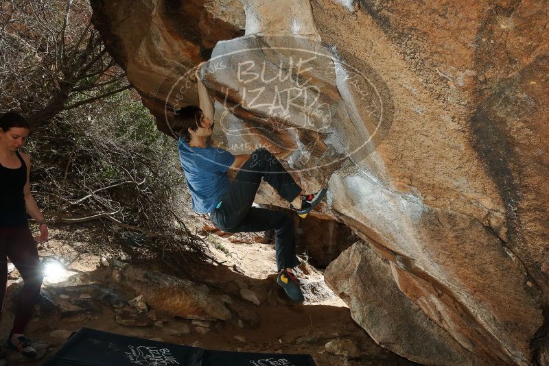Bouldering in Hueco Tanks on 02/28/2020 with Blue Lizard Climbing and Yoga

Filename: SRM_20200228_1425310.jpg
Aperture: f/8.0
Shutter Speed: 1/250
Body: Canon EOS-1D Mark II
Lens: Canon EF 16-35mm f/2.8 L
