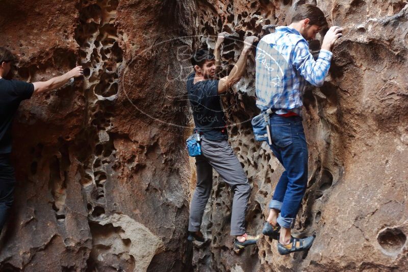 Bouldering in Hueco Tanks on 02/28/2020 with Blue Lizard Climbing and Yoga
Filename: SRM_20200228_1651210.jpg
Aperture: f/3.5
Shutter Speed: 1/100
Body: Canon EOS-1D Mark II
Lens: Canon EF 50mm f/1.8 II