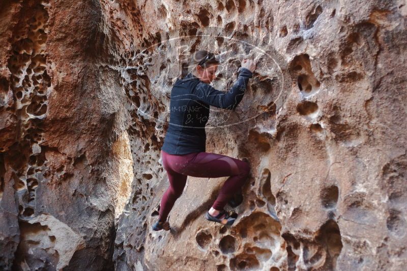 Bouldering in Hueco Tanks on 02/28/2020 with Blue Lizard Climbing and Yoga

Filename: SRM_20200228_1657190.jpg
Aperture: f/2.5
Shutter Speed: 1/100
Body: Canon EOS-1D Mark II
Lens: Canon EF 50mm f/1.8 II