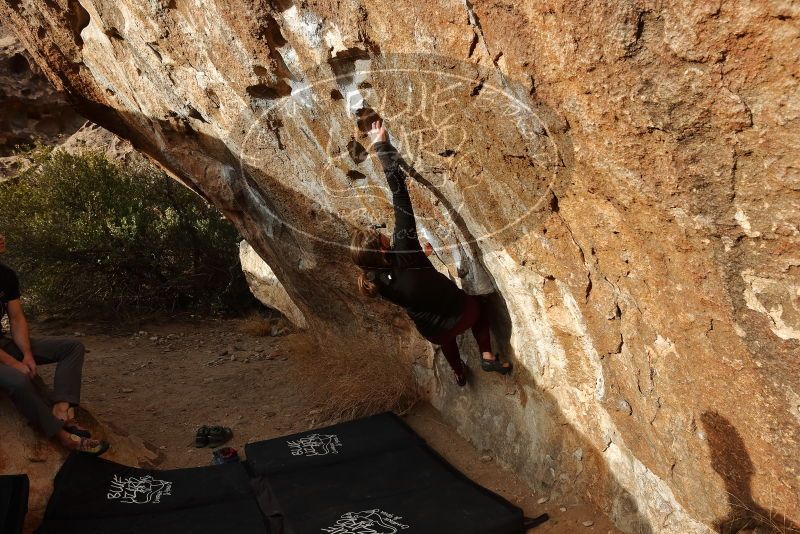 Bouldering in Hueco Tanks on 02/28/2020 with Blue Lizard Climbing and Yoga

Filename: SRM_20200228_1753090.jpg
Aperture: f/6.3
Shutter Speed: 1/400
Body: Canon EOS-1D Mark II
Lens: Canon EF 16-35mm f/2.8 L