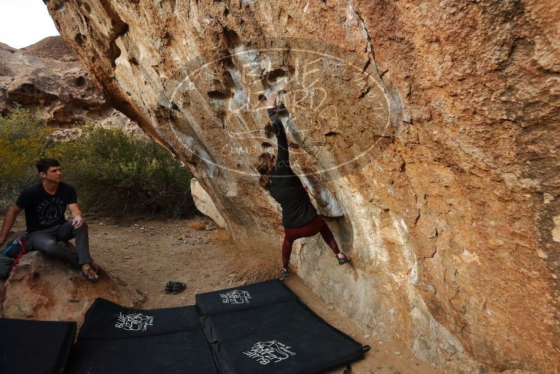 Bouldering in Hueco Tanks on 02/28/2020 with Blue Lizard Climbing and Yoga

Filename: SRM_20200228_1759390.jpg
Aperture: f/4.5
Shutter Speed: 1/320
Body: Canon EOS-1D Mark II
Lens: Canon EF 16-35mm f/2.8 L