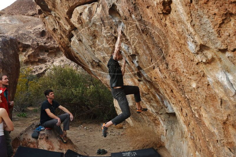 Bouldering in Hueco Tanks on 02/28/2020 with Blue Lizard Climbing and Yoga

Filename: SRM_20200228_1801110.jpg
Aperture: f/4.5
Shutter Speed: 1/320
Body: Canon EOS-1D Mark II
Lens: Canon EF 16-35mm f/2.8 L