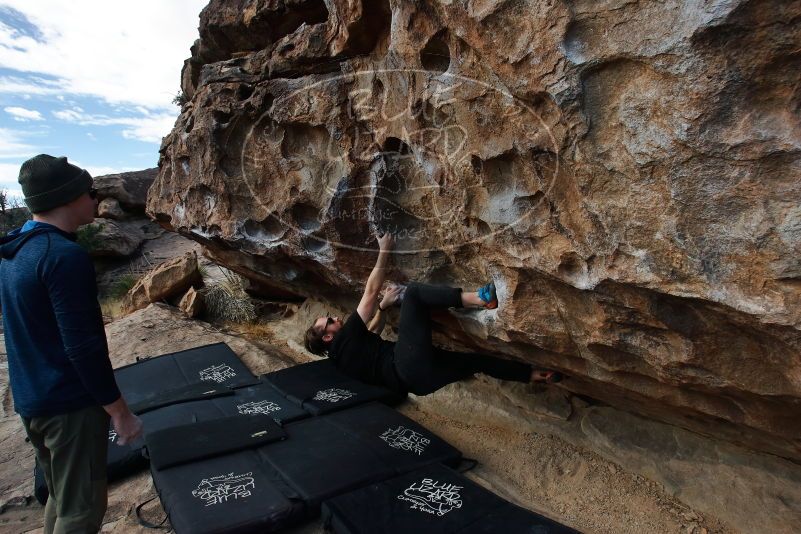 Bouldering in Hueco Tanks on 02/29/2020 with Blue Lizard Climbing and Yoga

Filename: SRM_20200229_1151280.jpg
Aperture: f/7.1
Shutter Speed: 1/250
Body: Canon EOS-1D Mark II
Lens: Canon EF 16-35mm f/2.8 L