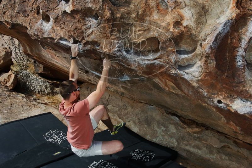 Bouldering in Hueco Tanks on 02/29/2020 with Blue Lizard Climbing and Yoga
Filename: SRM_20200229_1153590.jpg
Aperture: f/8.0
Shutter Speed: 1/250
Body: Canon EOS-1D Mark II
Lens: Canon EF 16-35mm f/2.8 L