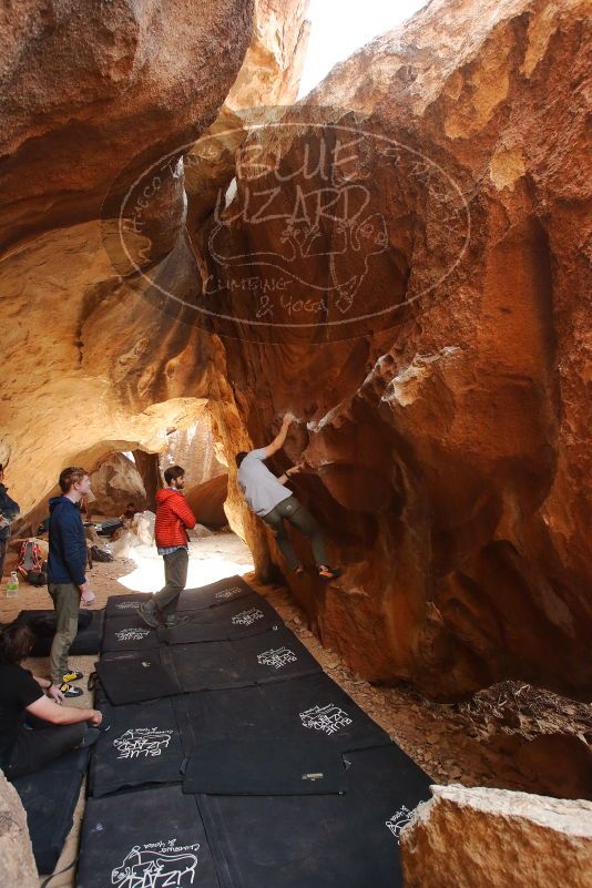 Bouldering in Hueco Tanks on 02/29/2020 with Blue Lizard Climbing and Yoga

Filename: SRM_20200229_1412140.jpg
Aperture: f/5.6
Shutter Speed: 1/250
Body: Canon EOS-1D Mark II
Lens: Canon EF 16-35mm f/2.8 L