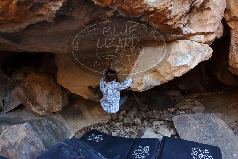 Bouldering in Hueco Tanks on 02/29/2020 with Blue Lizard Climbing and Yoga

Filename: SRM_20200229_1538430.jpg
Aperture: f/4.0
Shutter Speed: 1/200
Body: Canon EOS-1D Mark II
Lens: Canon EF 16-35mm f/2.8 L