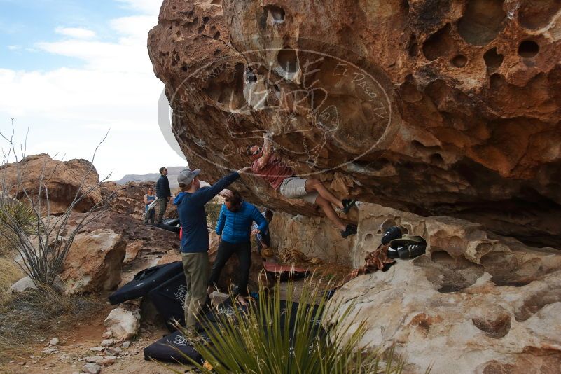 Bouldering in Hueco Tanks on 02/29/2020 with Blue Lizard Climbing and Yoga
Filename: SRM_20200229_1638540.jpg
Aperture: f/5.0
Shutter Speed: 1/400
Body: Canon EOS-1D Mark II
Lens: Canon EF 16-35mm f/2.8 L
