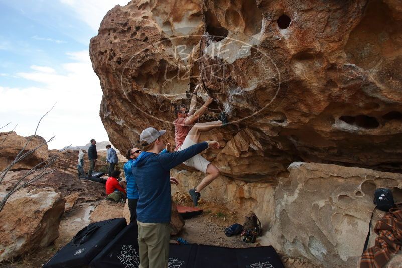 Bouldering in Hueco Tanks on 02/29/2020 with Blue Lizard Climbing and Yoga
Filename: SRM_20200229_1638590.jpg
Aperture: f/4.5
Shutter Speed: 1/400
Body: Canon EOS-1D Mark II
Lens: Canon EF 16-35mm f/2.8 L