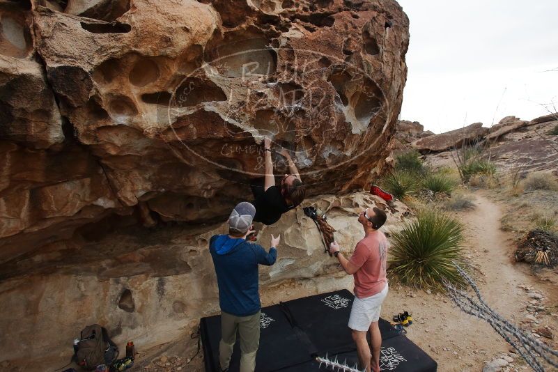 Bouldering in Hueco Tanks on 02/29/2020 with Blue Lizard Climbing and Yoga
Filename: SRM_20200229_1642240.jpg
Aperture: f/4.5
Shutter Speed: 1/400
Body: Canon EOS-1D Mark II
Lens: Canon EF 16-35mm f/2.8 L