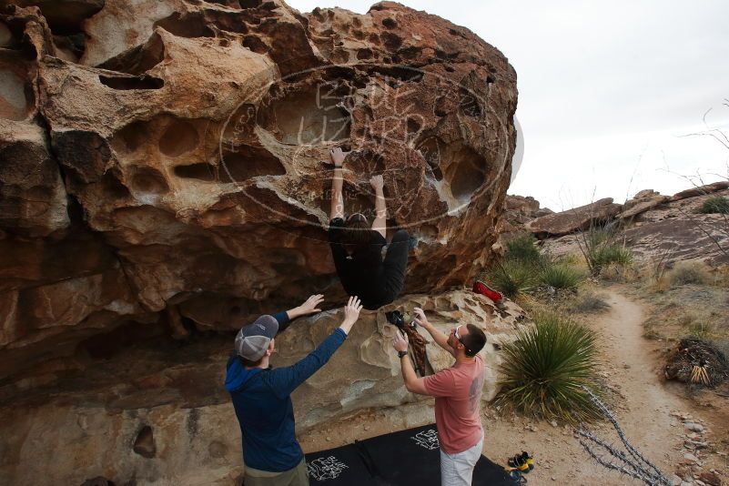 Bouldering in Hueco Tanks on 02/29/2020 with Blue Lizard Climbing and Yoga
Filename: SRM_20200229_1642340.jpg
Aperture: f/8.0
Shutter Speed: 1/250
Body: Canon EOS-1D Mark II
Lens: Canon EF 16-35mm f/2.8 L