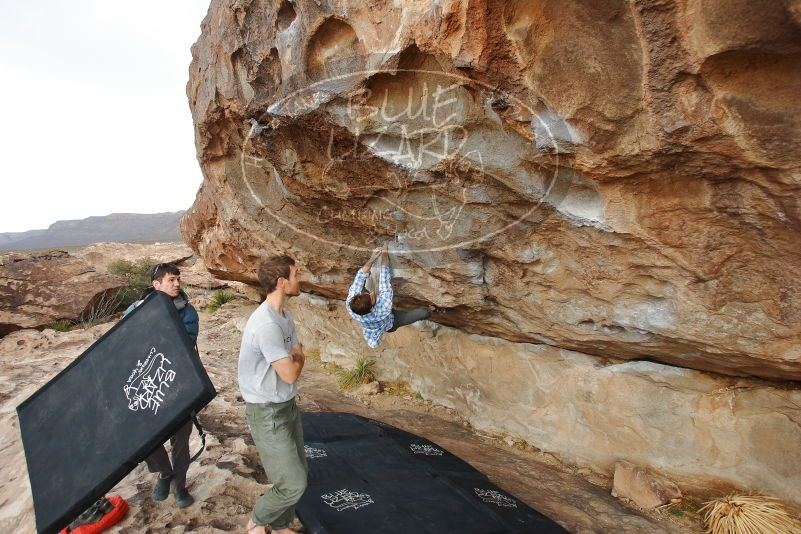 Bouldering in Hueco Tanks on 02/29/2020 with Blue Lizard Climbing and Yoga
Filename: SRM_20200229_1657540.jpg
Aperture: f/4.5
Shutter Speed: 1/400
Body: Canon EOS-1D Mark II
Lens: Canon EF 16-35mm f/2.8 L
