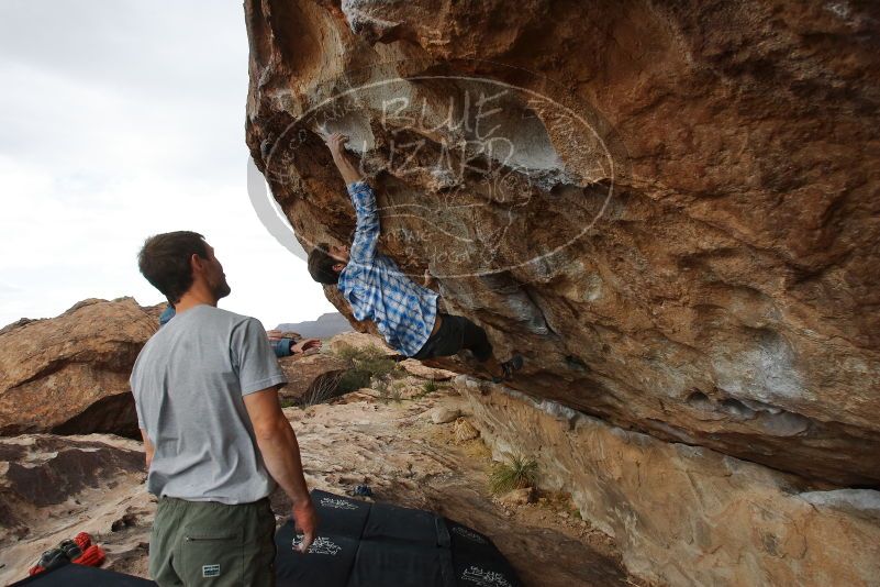 Bouldering in Hueco Tanks on 02/29/2020 with Blue Lizard Climbing and Yoga

Filename: SRM_20200229_1658090.jpg
Aperture: f/5.6
Shutter Speed: 1/400
Body: Canon EOS-1D Mark II
Lens: Canon EF 16-35mm f/2.8 L