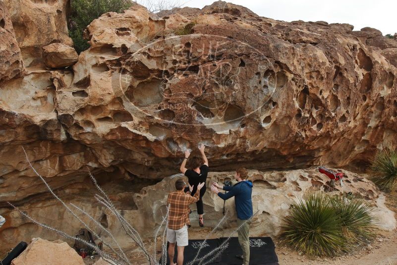 Bouldering in Hueco Tanks on 02/29/2020 with Blue Lizard Climbing and Yoga

Filename: SRM_20200229_1659140.jpg
Aperture: f/5.6
Shutter Speed: 1/400
Body: Canon EOS-1D Mark II
Lens: Canon EF 16-35mm f/2.8 L