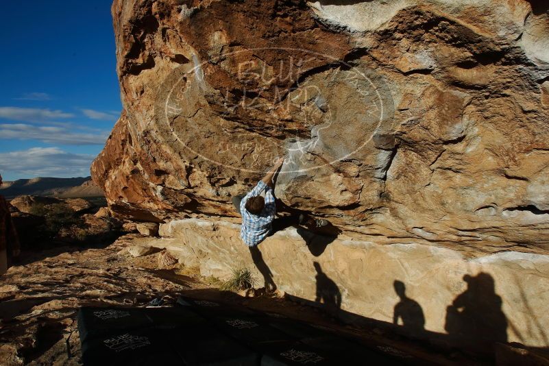 Bouldering in Hueco Tanks on 02/29/2020 with Blue Lizard Climbing and Yoga
Filename: SRM_20200229_1753530.jpg
Aperture: f/9.0
Shutter Speed: 1/400
Body: Canon EOS-1D Mark II
Lens: Canon EF 16-35mm f/2.8 L
