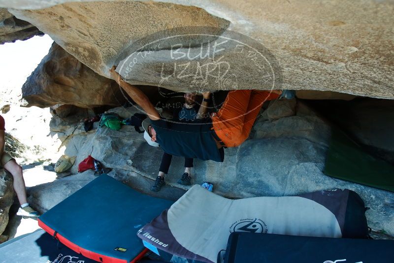 Bouldering in Hueco Tanks on 03/07/2020 with Blue Lizard Climbing and Yoga
Filename: SRM_20200307_1108280.jpg
Aperture: f/4.0
Shutter Speed: 1/200
Body: Canon EOS-1D Mark II
Lens: Canon EF 16-35mm f/2.8 L