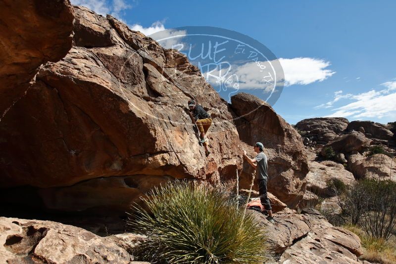Bouldering in Hueco Tanks on 03/07/2020 with Blue Lizard Climbing and Yoga
Filename: SRM_20200307_1117190.jpg
Aperture: f/5.6
Shutter Speed: 1/1250
Body: Canon EOS-1D Mark II
Lens: Canon EF 16-35mm f/2.8 L