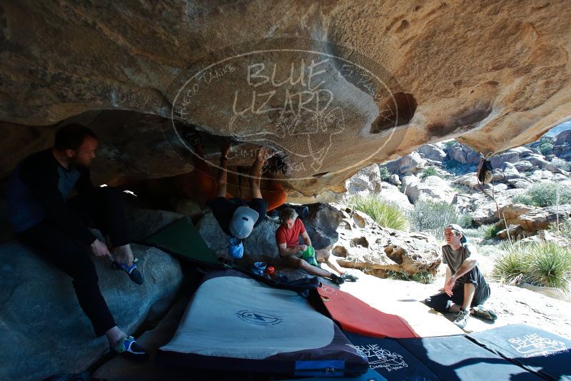 Bouldering in Hueco Tanks on 03/07/2020 with Blue Lizard Climbing and Yoga

Filename: SRM_20200307_1135540.jpg
Aperture: f/5.6
Shutter Speed: 1/320
Body: Canon EOS-1D Mark II
Lens: Canon EF 16-35mm f/2.8 L