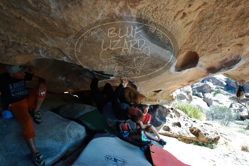 Bouldering in Hueco Tanks on 03/07/2020 with Blue Lizard Climbing and Yoga

Filename: SRM_20200307_1136560.jpg
Aperture: f/5.0
Shutter Speed: 1/400
Body: Canon EOS-1D Mark II
Lens: Canon EF 16-35mm f/2.8 L