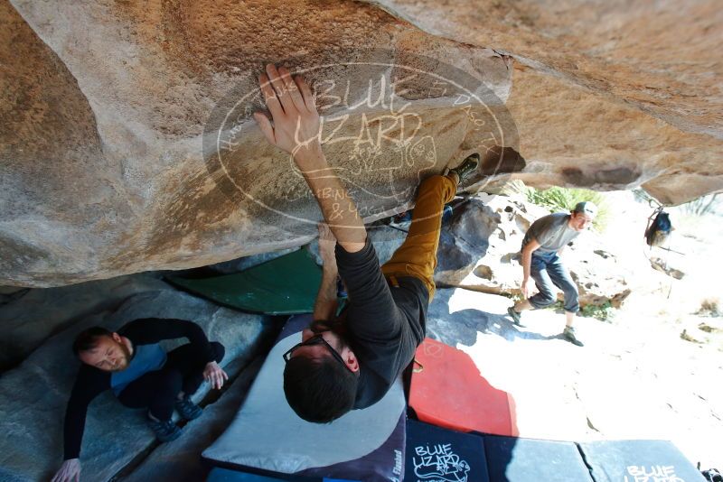 Bouldering in Hueco Tanks on 03/07/2020 with Blue Lizard Climbing and Yoga
Filename: SRM_20200307_1140130.jpg
Aperture: f/5.6
Shutter Speed: 1/320
Body: Canon EOS-1D Mark II
Lens: Canon EF 16-35mm f/2.8 L