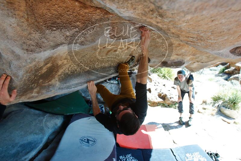 Bouldering in Hueco Tanks on 03/07/2020 with Blue Lizard Climbing and Yoga

Filename: SRM_20200307_1140200.jpg
Aperture: f/5.6
Shutter Speed: 1/320
Body: Canon EOS-1D Mark II
Lens: Canon EF 16-35mm f/2.8 L