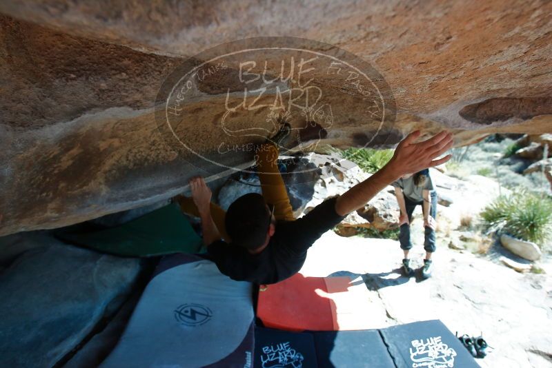 Bouldering in Hueco Tanks on 03/07/2020 with Blue Lizard Climbing and Yoga
Filename: SRM_20200307_1140290.jpg
Aperture: f/5.6
Shutter Speed: 1/800
Body: Canon EOS-1D Mark II
Lens: Canon EF 16-35mm f/2.8 L