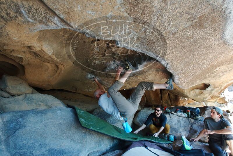 Bouldering in Hueco Tanks on 03/07/2020 with Blue Lizard Climbing and Yoga
Filename: SRM_20200307_1151030.jpg
Aperture: f/5.6
Shutter Speed: 1/125
Body: Canon EOS-1D Mark II
Lens: Canon EF 16-35mm f/2.8 L