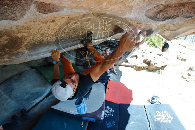 Bouldering in Hueco Tanks on 03/07/2020 with Blue Lizard Climbing and Yoga

Filename: SRM_20200307_1203330.jpg
Aperture: f/5.6
Shutter Speed: 1/320
Body: Canon EOS-1D Mark II
Lens: Canon EF 16-35mm f/2.8 L