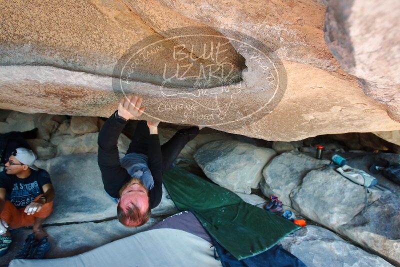 Bouldering in Hueco Tanks on 03/07/2020 with Blue Lizard Climbing and Yoga
Filename: SRM_20200307_1222160.jpg
Aperture: f/5.0
Shutter Speed: 1/250
Body: Canon EOS-1D Mark II
Lens: Canon EF 16-35mm f/2.8 L