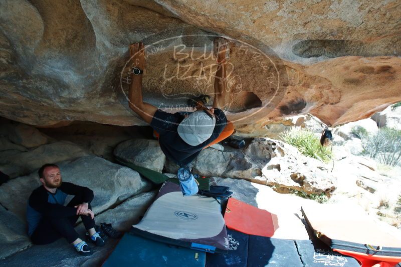 Bouldering in Hueco Tanks on 03/07/2020 with Blue Lizard Climbing and Yoga

Filename: SRM_20200307_1224500.jpg
Aperture: f/5.0
Shutter Speed: 1/500
Body: Canon EOS-1D Mark II
Lens: Canon EF 16-35mm f/2.8 L
