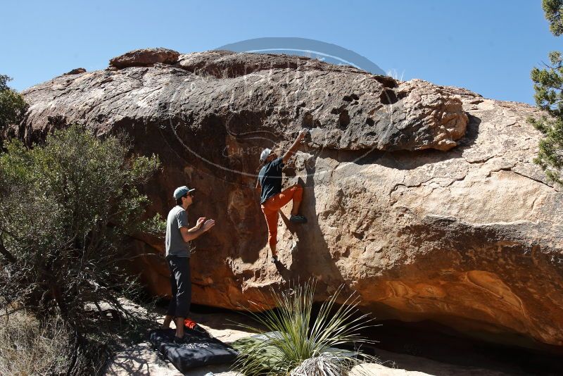 Bouldering in Hueco Tanks on 03/07/2020 with Blue Lizard Climbing and Yoga

Filename: SRM_20200307_1329210.jpg
Aperture: f/5.6
Shutter Speed: 1/500
Body: Canon EOS-1D Mark II
Lens: Canon EF 16-35mm f/2.8 L
