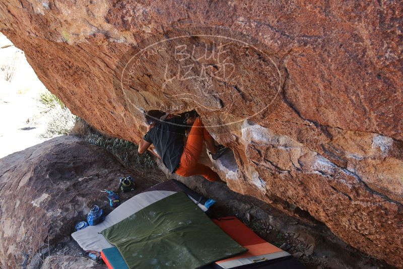 Bouldering in Hueco Tanks on 03/07/2020 with Blue Lizard Climbing and Yoga

Filename: SRM_20200307_1426200.jpg
Aperture: f/5.6
Shutter Speed: 1/640
Body: Canon EOS-1D Mark II
Lens: Canon EF 16-35mm f/2.8 L