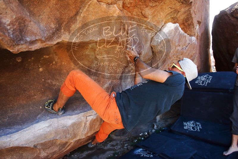 Bouldering in Hueco Tanks on 03/07/2020 with Blue Lizard Climbing and Yoga
Filename: SRM_20200307_1514490.jpg
Aperture: f/3.5
Shutter Speed: 1/800
Body: Canon EOS-1D Mark II
Lens: Canon EF 16-35mm f/2.8 L