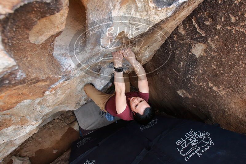 Bouldering in Hueco Tanks on 03/06/2020 with Blue Lizard Climbing and Yoga

Filename: SRM_20200306_1355490.jpg
Aperture: f/5.6
Shutter Speed: 1/250
Body: Canon EOS-1D Mark II
Lens: Canon EF 16-35mm f/2.8 L