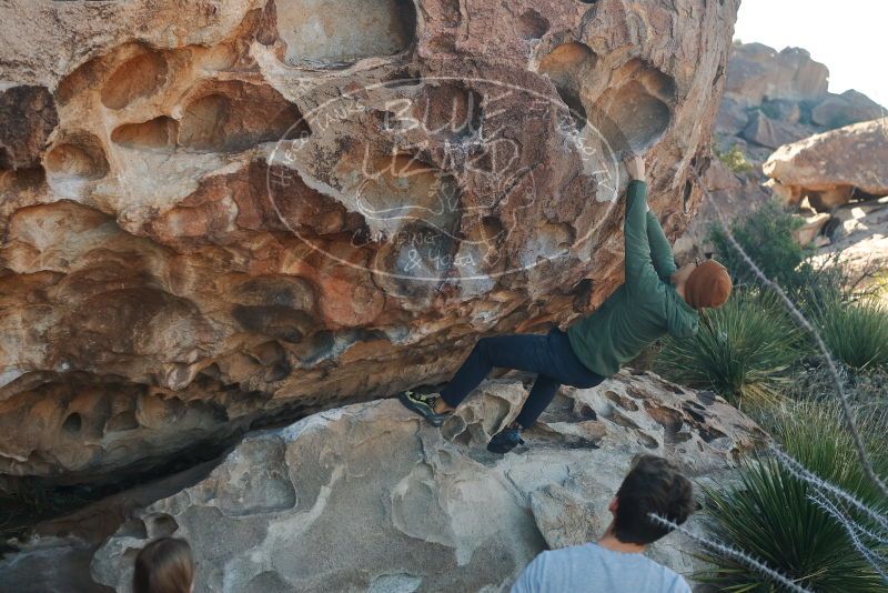 Bouldering in Hueco Tanks on 03/16/2020 with Blue Lizard Climbing and Yoga
Filename: SRM_20200316_0921480.jpg
Aperture: f/4.5
Shutter Speed: 1/320
Body: Canon EOS-1D Mark II
Lens: Canon EF 50mm f/1.8 II