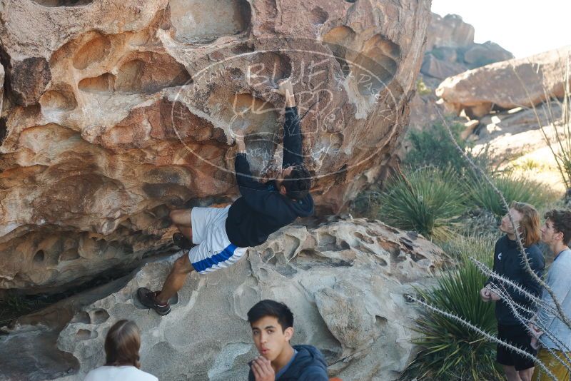 Bouldering in Hueco Tanks on 03/16/2020 with Blue Lizard Climbing and Yoga
Filename: SRM_20200316_0923280.jpg
Aperture: f/4.0
Shutter Speed: 1/320
Body: Canon EOS-1D Mark II
Lens: Canon EF 50mm f/1.8 II