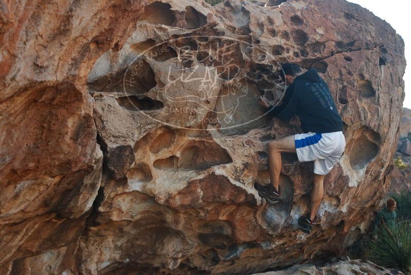 Bouldering in Hueco Tanks on 03/16/2020 with Blue Lizard Climbing and Yoga
Filename: SRM_20200316_0923400.jpg
Aperture: f/5.6
Shutter Speed: 1/320
Body: Canon EOS-1D Mark II
Lens: Canon EF 50mm f/1.8 II