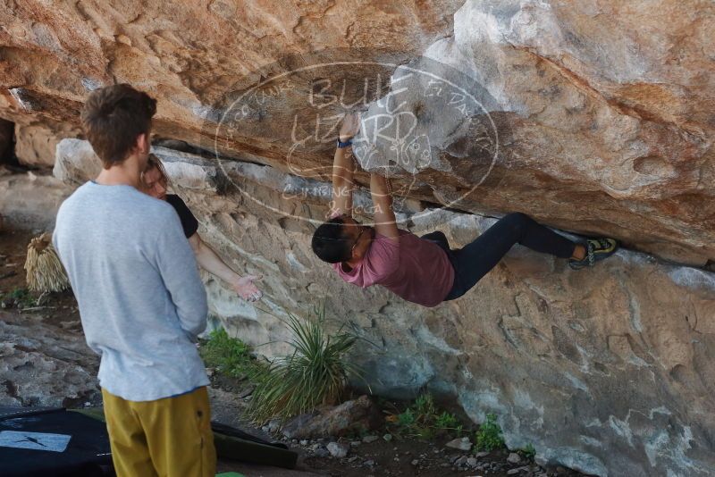 Bouldering in Hueco Tanks on 03/16/2020 with Blue Lizard Climbing and Yoga
Filename: SRM_20200316_1022510.jpg
Aperture: f/4.0
Shutter Speed: 1/500
Body: Canon EOS-1D Mark II
Lens: Canon EF 50mm f/1.8 II