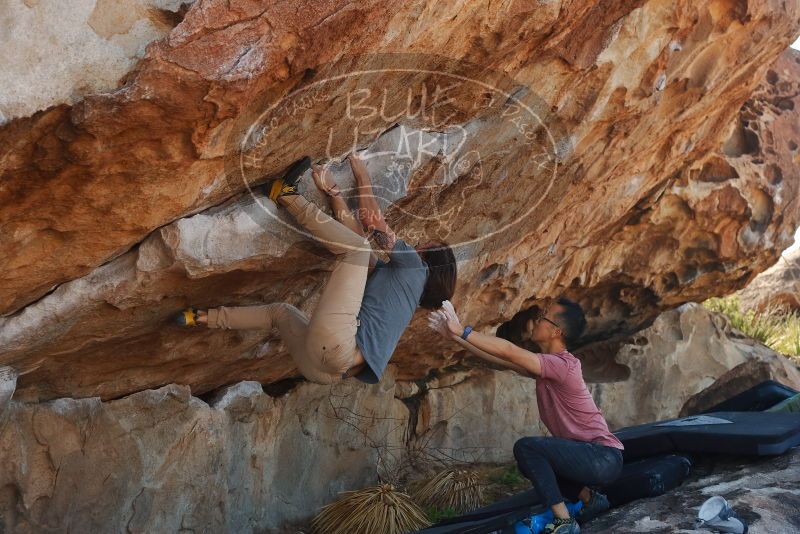 Bouldering in Hueco Tanks on 03/16/2020 with Blue Lizard Climbing and Yoga

Filename: SRM_20200316_1109520.jpg
Aperture: f/5.0
Shutter Speed: 1/500
Body: Canon EOS-1D Mark II
Lens: Canon EF 50mm f/1.8 II