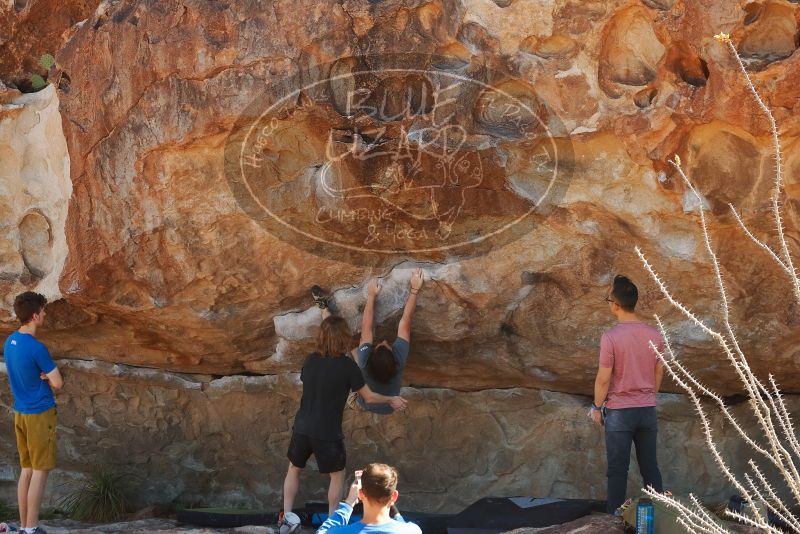 Bouldering in Hueco Tanks on 03/16/2020 with Blue Lizard Climbing and Yoga
Filename: SRM_20200316_1118320.jpg
Aperture: f/5.6
Shutter Speed: 1/500
Body: Canon EOS-1D Mark II
Lens: Canon EF 50mm f/1.8 II