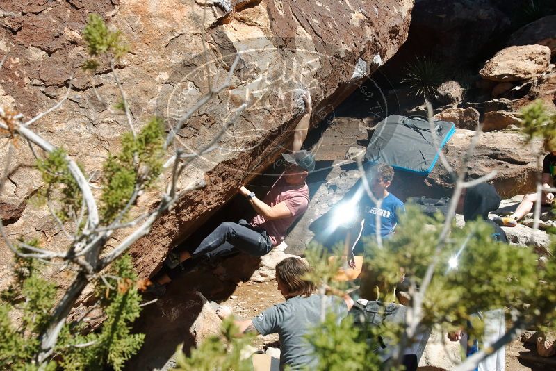 Bouldering in Hueco Tanks on 03/16/2020 with Blue Lizard Climbing and Yoga

Filename: SRM_20200316_1223350.jpg
Aperture: f/8.0
Shutter Speed: 1/250
Body: Canon EOS-1D Mark II
Lens: Canon EF 16-35mm f/2.8 L