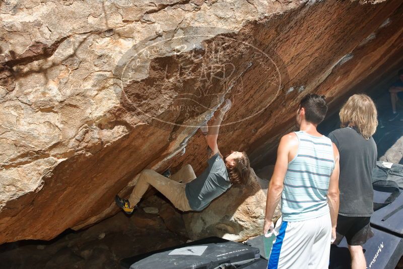 Bouldering in Hueco Tanks on 03/16/2020 with Blue Lizard Climbing and Yoga
Filename: SRM_20200316_1249530.jpg
Aperture: f/8.0
Shutter Speed: 1/250
Body: Canon EOS-1D Mark II
Lens: Canon EF 16-35mm f/2.8 L