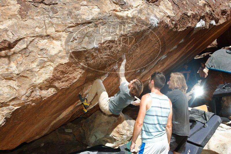 Bouldering in Hueco Tanks on 03/16/2020 with Blue Lizard Climbing and Yoga
Filename: SRM_20200316_1250010.jpg
Aperture: f/8.0
Shutter Speed: 1/250
Body: Canon EOS-1D Mark II
Lens: Canon EF 16-35mm f/2.8 L