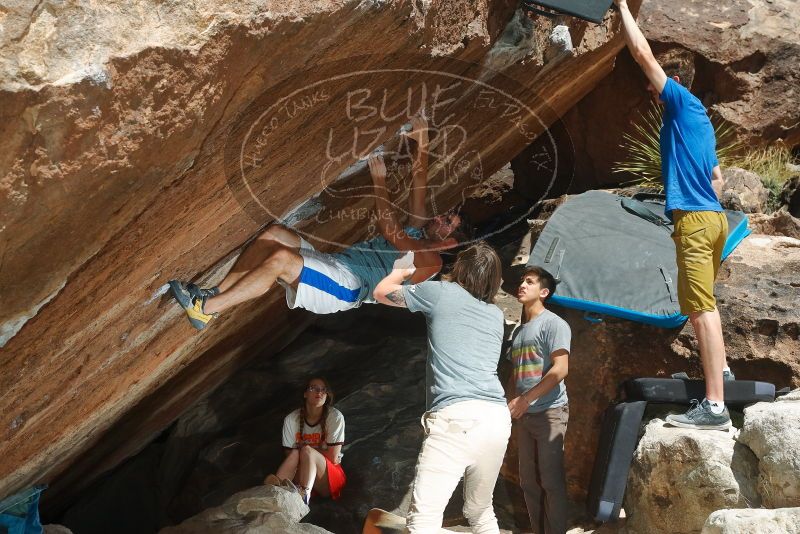 Bouldering in Hueco Tanks on 03/16/2020 with Blue Lizard Climbing and Yoga

Filename: SRM_20200316_1321090.jpg
Aperture: f/8.0
Shutter Speed: 1/250
Body: Canon EOS-1D Mark II
Lens: Canon EF 50mm f/1.8 II