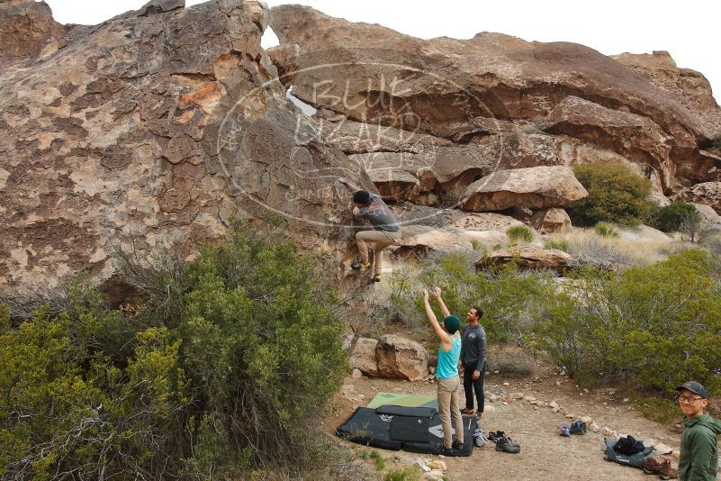 Bouldering in Hueco Tanks on 03/15/2020 with Blue Lizard Climbing and Yoga
Filename: SRM_20200315_0931580.jpg
Aperture: f/8.0
Shutter Speed: 1/250
Body: Canon EOS-1D Mark II
Lens: Canon EF 16-35mm f/2.8 L
