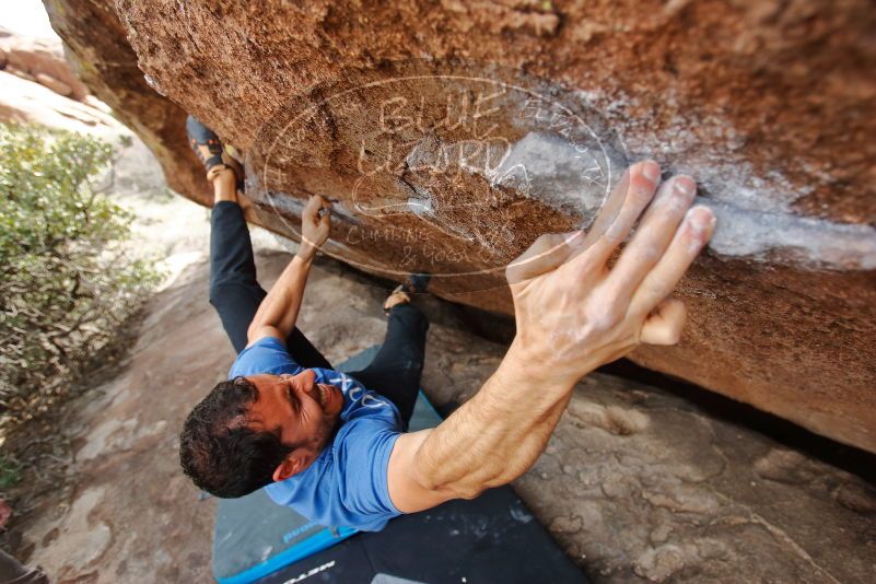 Bouldering in Hueco Tanks on 03/15/2020 with Blue Lizard Climbing and Yoga
Filename: SRM_20200315_1220472.jpg
Aperture: f/3.5
Shutter Speed: 1/400
Body: Canon EOS-1D Mark II
Lens: Canon EF 16-35mm f/2.8 L