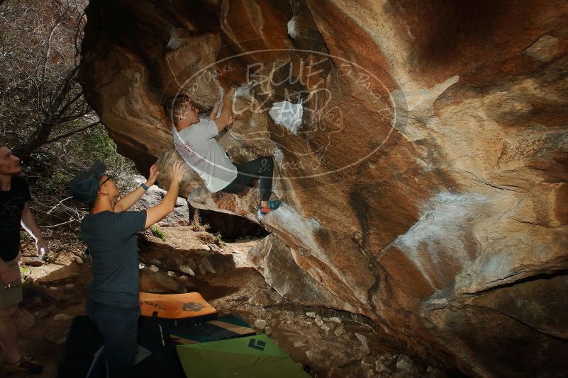Bouldering in Hueco Tanks on 03/15/2020 with Blue Lizard Climbing and Yoga

Filename: SRM_20200315_1427010.jpg
Aperture: f/8.0
Shutter Speed: 1/250
Body: Canon EOS-1D Mark II
Lens: Canon EF 16-35mm f/2.8 L