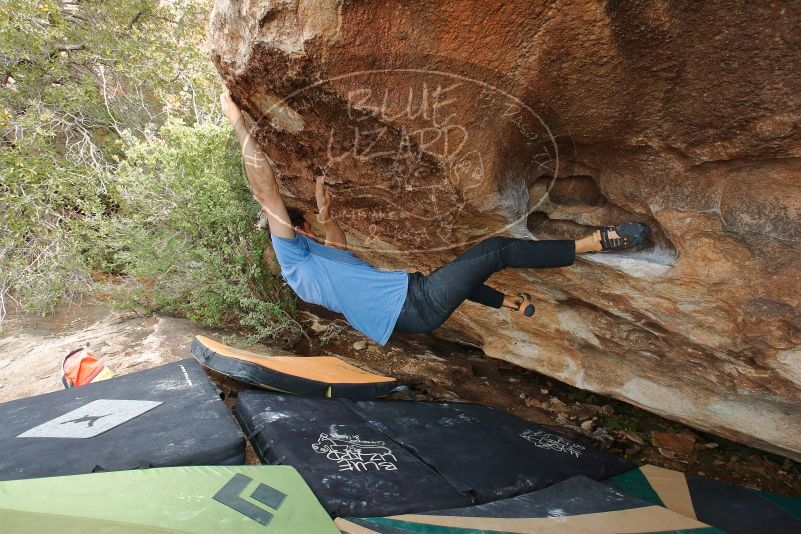Bouldering in Hueco Tanks on 03/15/2020 with Blue Lizard Climbing and Yoga

Filename: SRM_20200315_1709580.jpg
Aperture: f/7.1
Shutter Speed: 1/250
Body: Canon EOS-1D Mark II
Lens: Canon EF 16-35mm f/2.8 L
