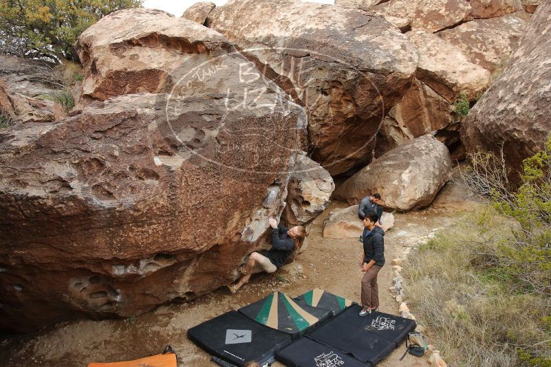 

Filename: SRM_20200315_0921170.jpg
Aperture: f/5.6
Shutter Speed: 1/160
Body: Canon EOS-1D Mark II
Lens: Canon EF 16-35mm f/2.8 L