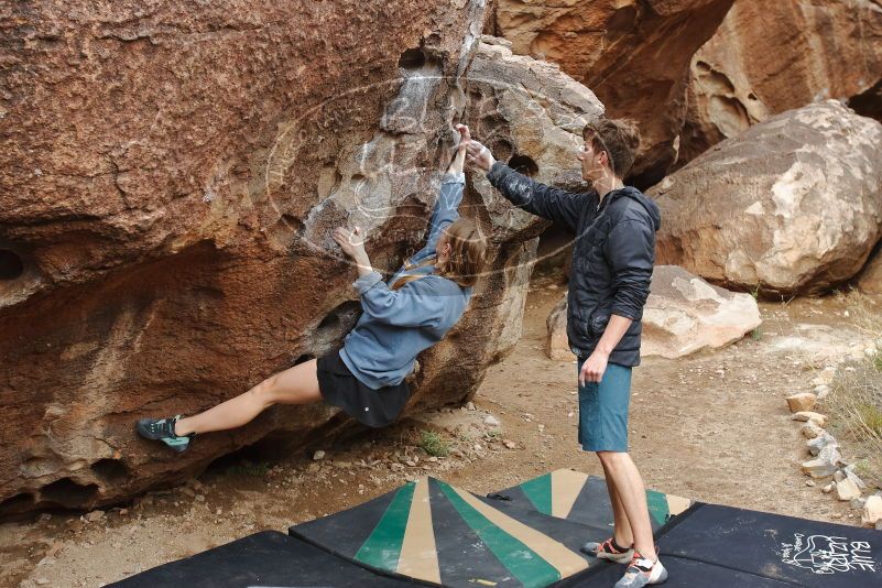 

Filename: SRM_20200315_0928040.jpg
Aperture: f/4.0
Shutter Speed: 1/500
Body: Canon EOS-1D Mark II
Lens: Canon EF 16-35mm f/2.8 L