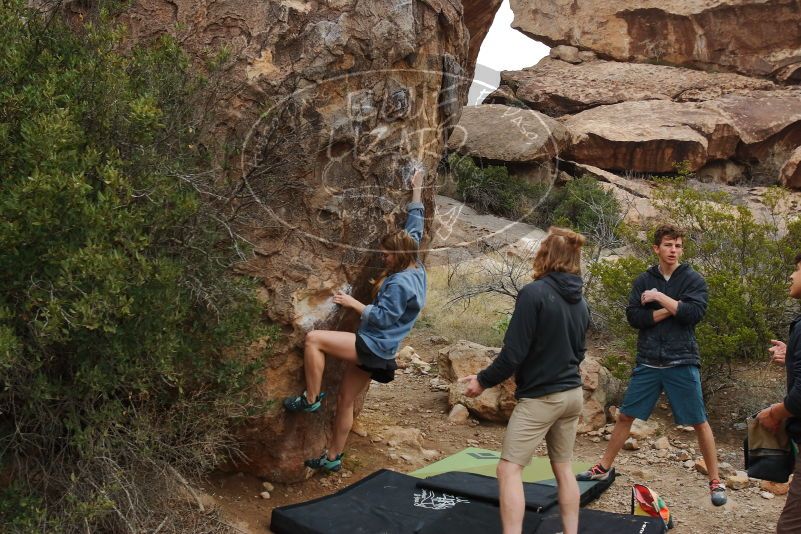 

Filename: SRM_20200315_0941170.jpg
Aperture: f/5.6
Shutter Speed: 1/320
Body: Canon EOS-1D Mark II
Lens: Canon EF 16-35mm f/2.8 L